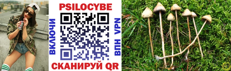 Галлюциногенные грибы Psilocybine cubensis  Ногинск 