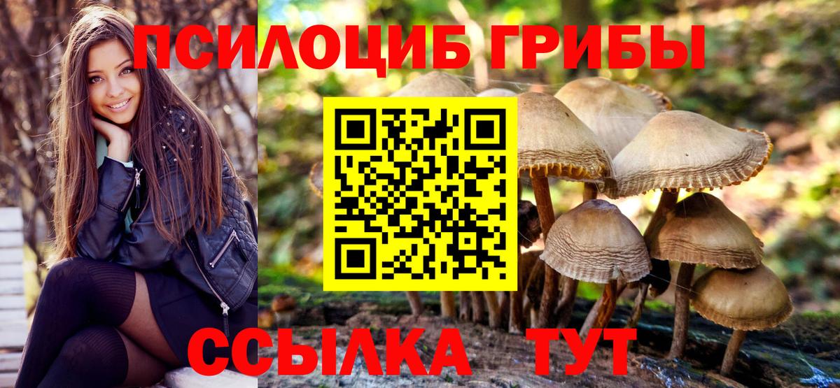 Псилоцибиновые грибы Magic Shrooms Ногинск