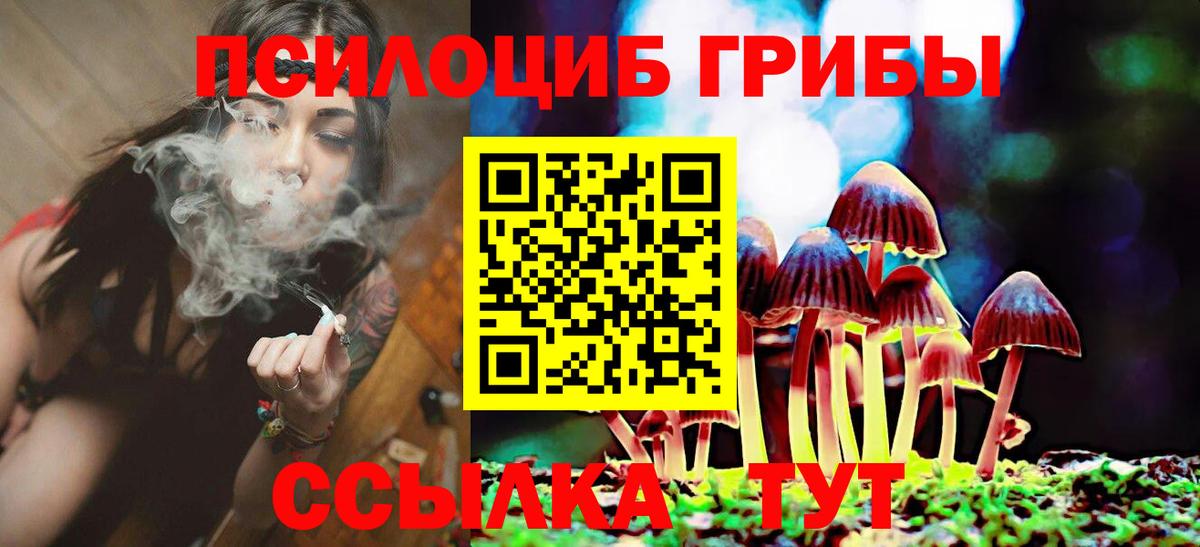 Псилоцибиновые грибы прущие грибы  Вход с VPN  Ногинск  где купить наркоту  Галлюциногенные грибы мицелий 